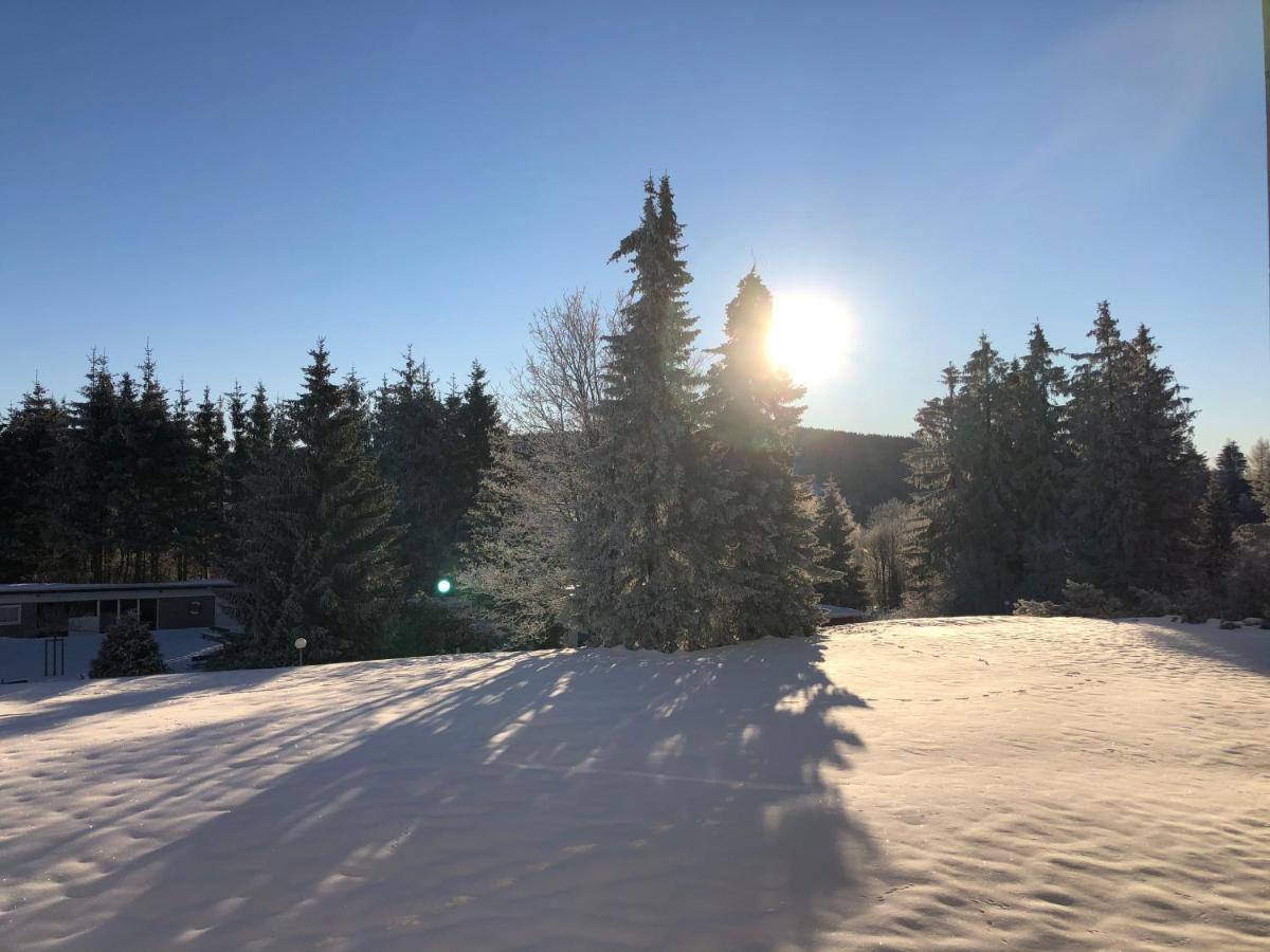 Bocksbergglueck In Hahnenklee, Endreinigung, Bezogene Betten, Handtuecher Inklusive Goslar Kültér fotó