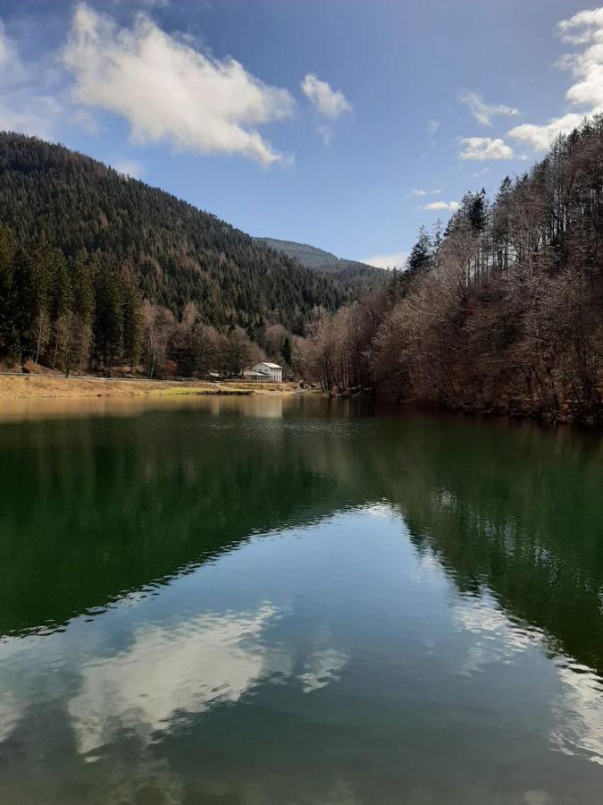 Bocksbergglueck In Hahnenklee, Endreinigung, Bezogene Betten, Handtuecher Inklusive Goslar Kültér fotó