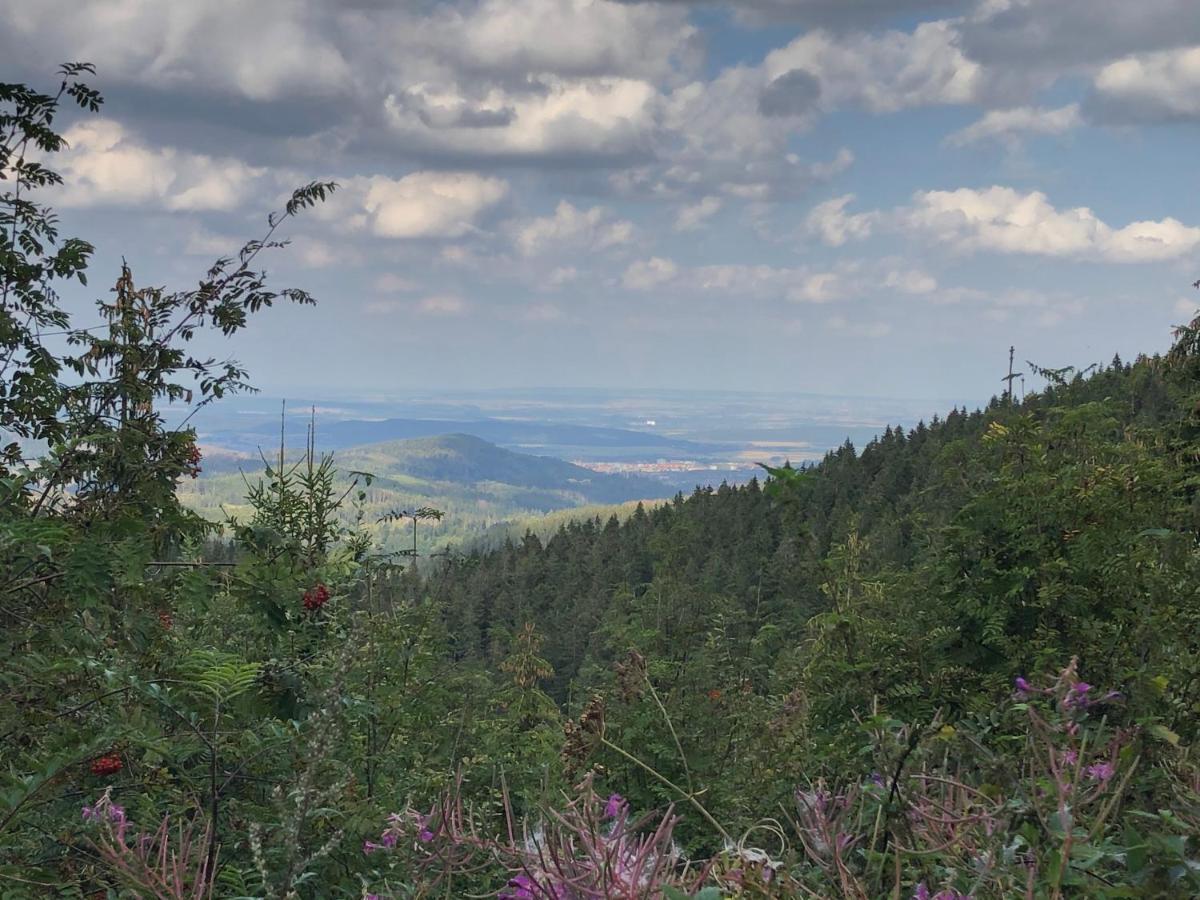 Bocksbergglueck In Hahnenklee, Endreinigung, Bezogene Betten, Handtuecher Inklusive Goslar Kültér fotó